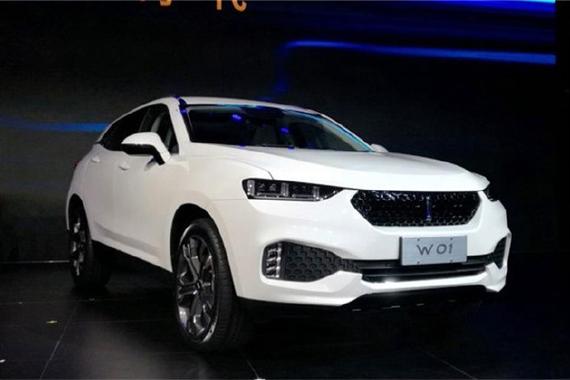 自主品牌口气越来越大，你最看好哪家的高端车型？