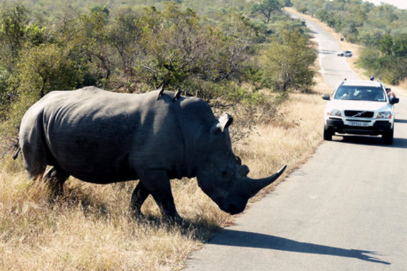 新鲜 违反交规不扣分不罚款只伤你的面子