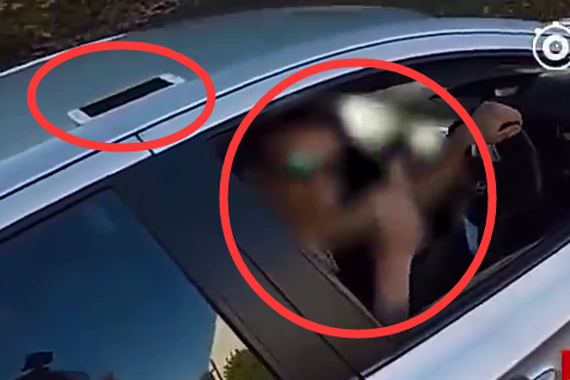 视频：好心当作驴肝肺！这个教训不太贵