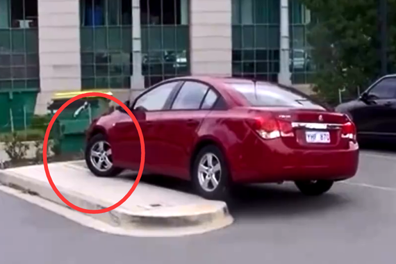 视频：女司机可怕？它却能让女司机害怕