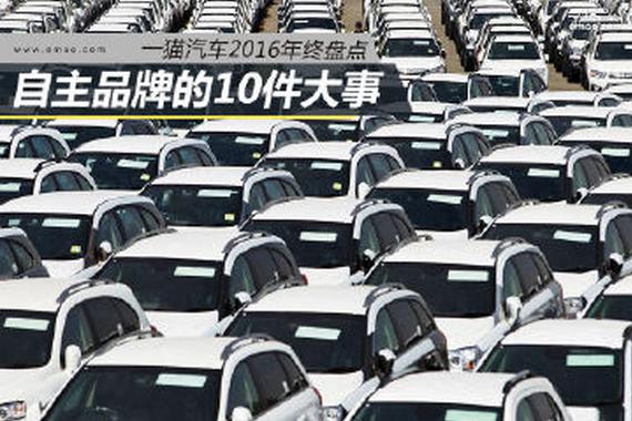 春风得意又一年 自主品牌的10件大事