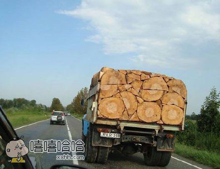 每日趣图|妹子我们换个地方 车上有点脏