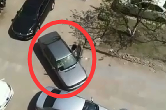 视频：女司机的天敌！倒车急死强迫症