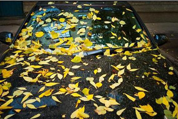 落叶伤车？难不成是飞叶片刀