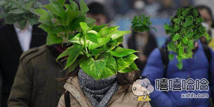每日趣图|任性了我的土豪 这车可惜了