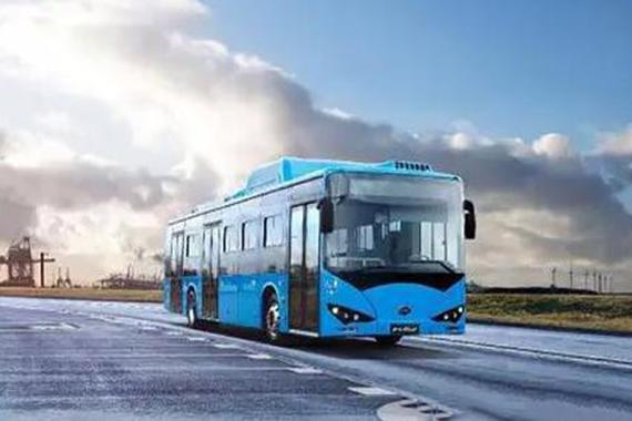 比亚迪傲立国际舞台 美国日本人纷纷叫好