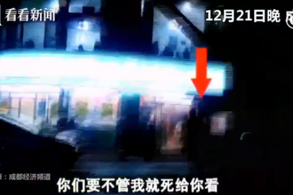 视频:爱犬被车撞死 主人情绪失控要自杀