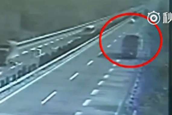 视频：女子舍身遮挡车牌 只是为了..