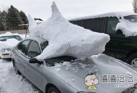 每日趣图|司机 你太相信自己了