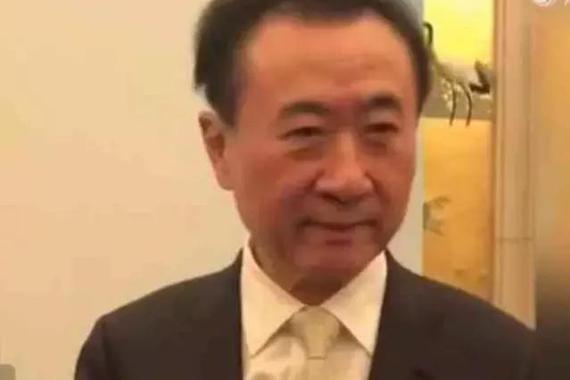 王健林谈投资董明珠造车：不大不大，就五个亿