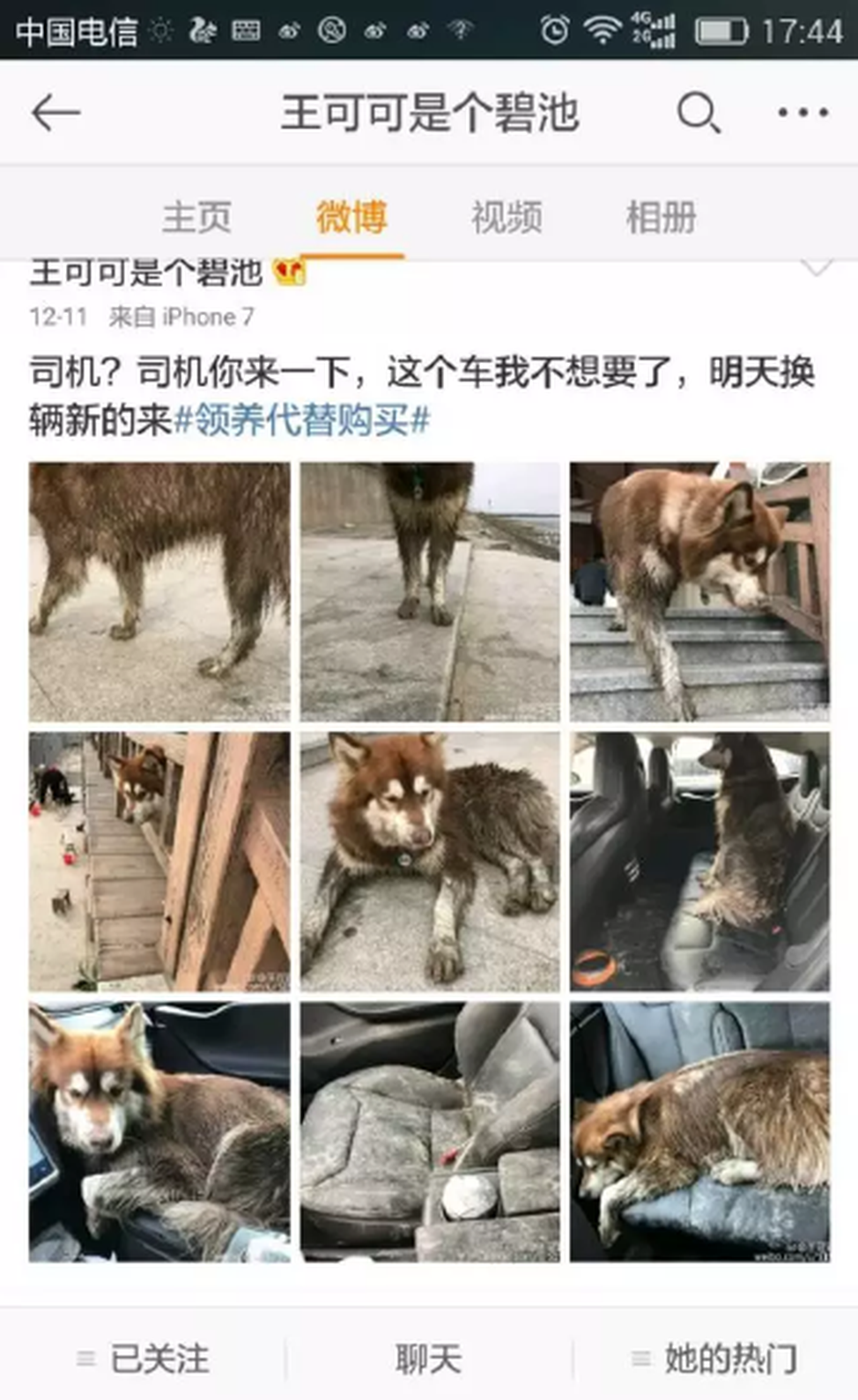 王思聪又炫富了，百万特斯拉被他家狗揉虐