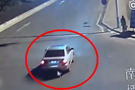 不太美！男子夜袭女子对方呼救后停手