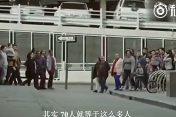 视频：深思!你能接受多少人因车祸死亡?