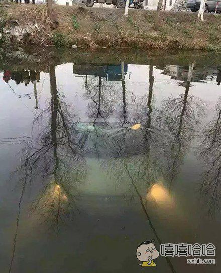 每日趣图|妹纸裤子那么短 手还放在那里