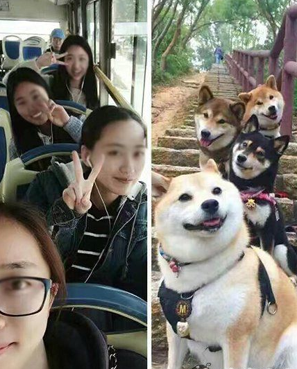 每日趣图|妹纸裤子那么短 手还放在那里