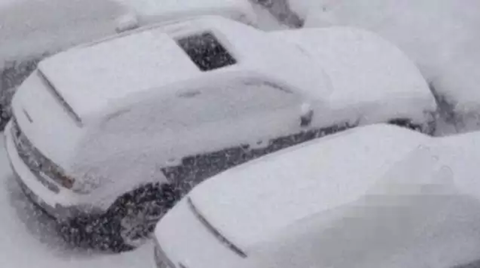 冬天停车忘关天窗，隔天可以在车内堆雪人