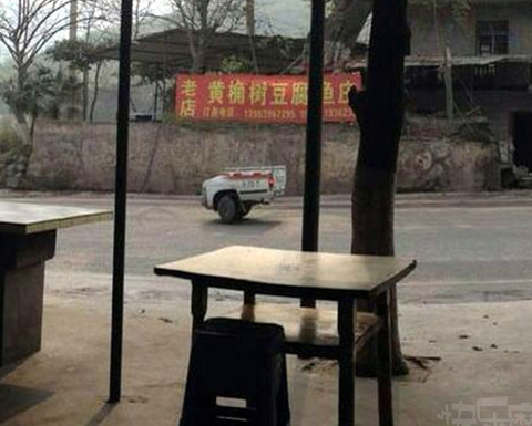 每日趣图|比发型更拉风的是脖子上的项链了
