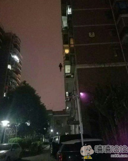 每日趣图|比发型更拉风的是脖子上的项链了