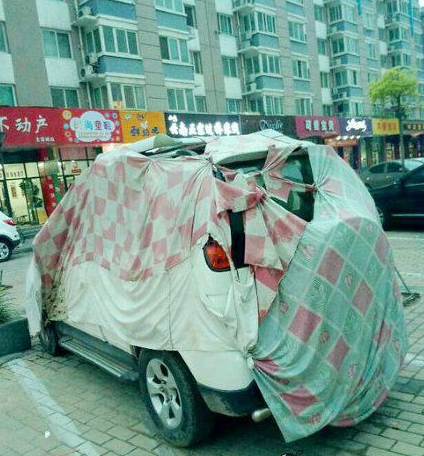 每日趣图|比发型更拉风的是脖子上的项链了