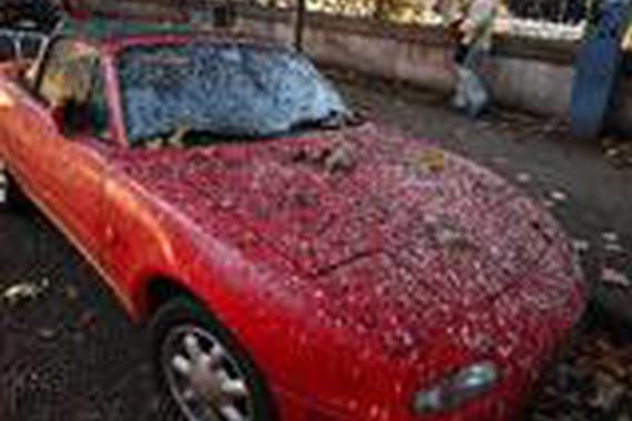 打蜡常识  保养过度爱车也会“不舒服”！