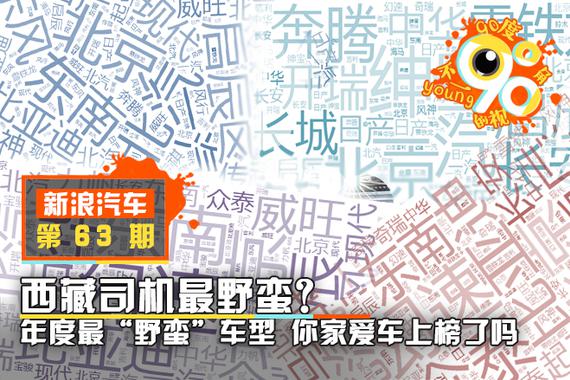 驾驶行为千千万 西藏司机最野蛮？