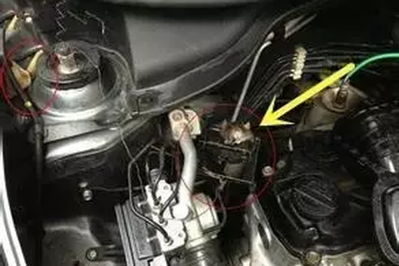 车里臭味弥漫，检查后发现问题严重了