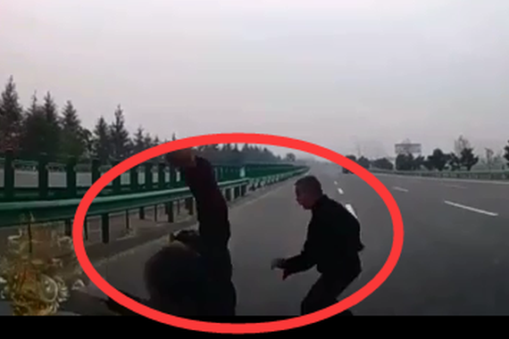 视频：横穿高速造车祸！司机心里有多苦