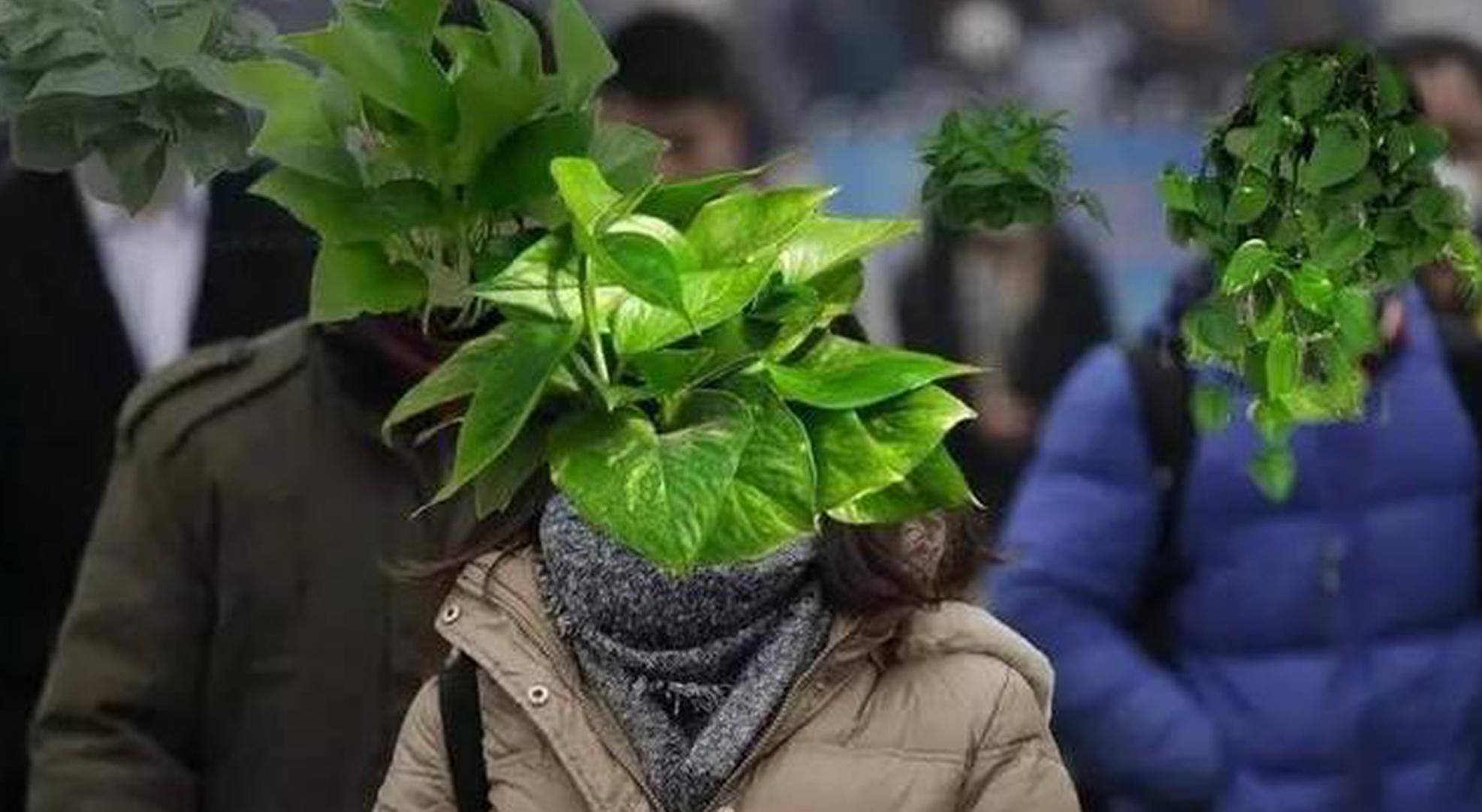 每年这个时候，汽车就要承受这个罪名