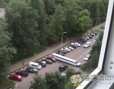 每日趣图|提着这个上车 是一种什么体验