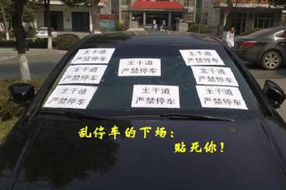 每次路边停车总有状况！都说了别那么任性