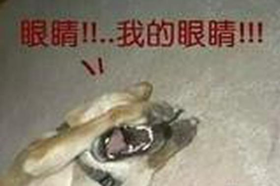 对向司机自觉点，当心劳资亮瞎你的狗眼！