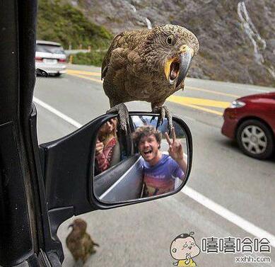 每日趣图|满座？我就站着就可以了