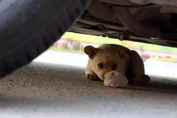 气温骤降，热车前务必注意这件事！