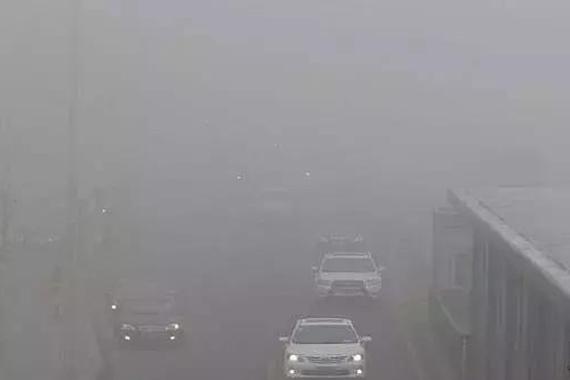 10万起步这几款车家用很不错，原来雾灯这么有用！