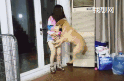 每日趣图|妹子你是出门太急 忘记穿了吗?