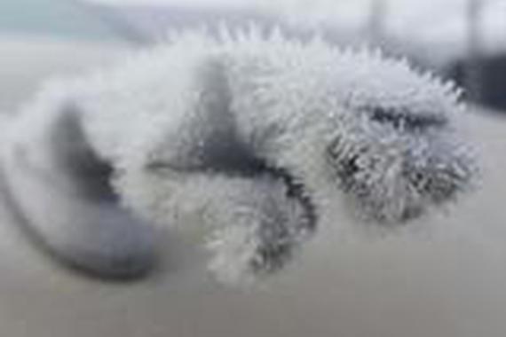 意外惊喜！被冻住的汽车或许是一件艺术品