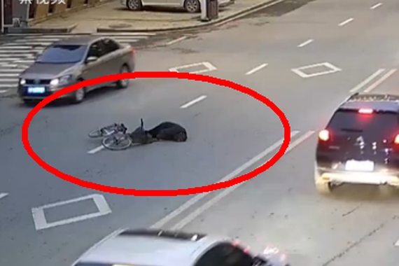 视频：老翁摔倒无人扶，消防蜀黍又出现