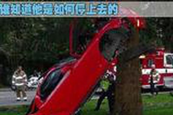 汽车：我也不知道怎么上去的