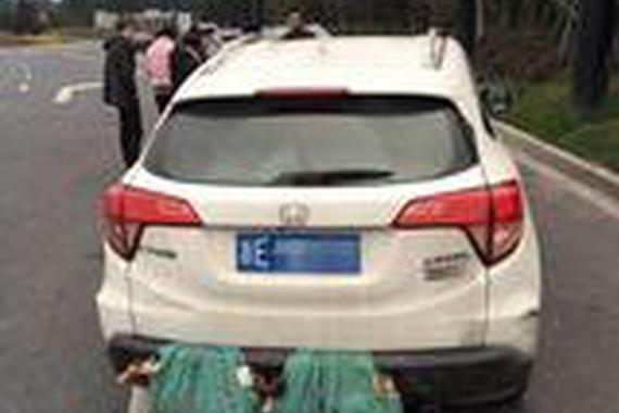 返乡途中的“双涡轮增鸭”悲剧了！