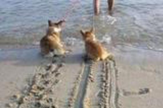 别听别人瞎说, 这才是开车真正保命用的