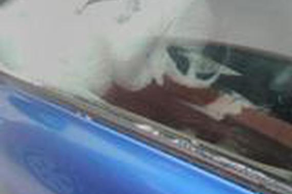 车主忘关上车窗玻璃，取车时想死的心都有