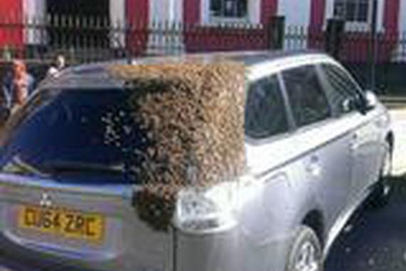 不小心带“她”上了车，结果引发那些囧事