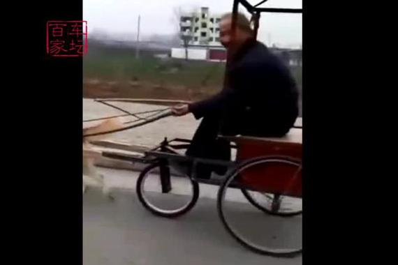 视频：大爷的座驾，除了佩服还是佩服