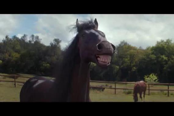 视频：大众途观创意广告，看着就笑了