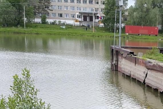 把车开进河，路人都质疑他怎么考的驾驶证