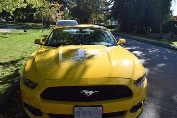 妹子开福特传奇车啥样？很黄很有暴发力！