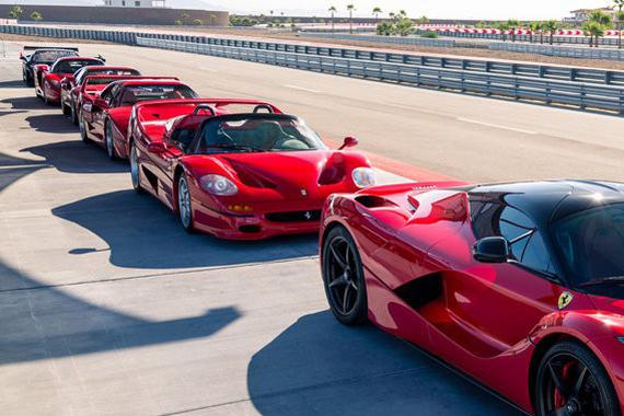 五匹超级马王 法家五代旗舰之作