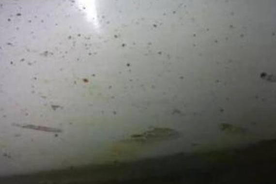 汽车镀晶大揭秘!到底好在哪?