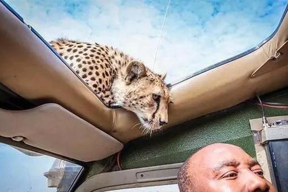 买全景天窗的车型有三怕，你真的怕了吗？