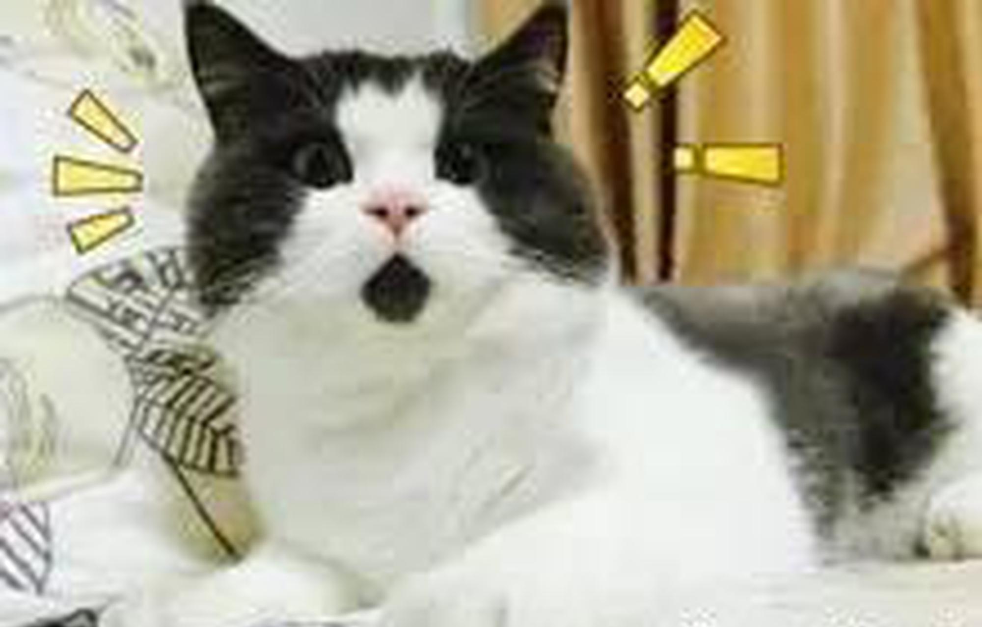 厉害了，打车软件原来可以叫这么多车!